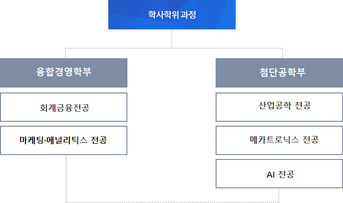 학사학위 과정 밑에 융합경영학부 밑에 회계금융 전공, 마케팅애널리틱스 전공. 첨단 공학부 밑에 산업공학 전공, 메카트로닉스 전공, AI 전공